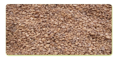 Altındal Ayvalık Zeytinyağı Fabrikası